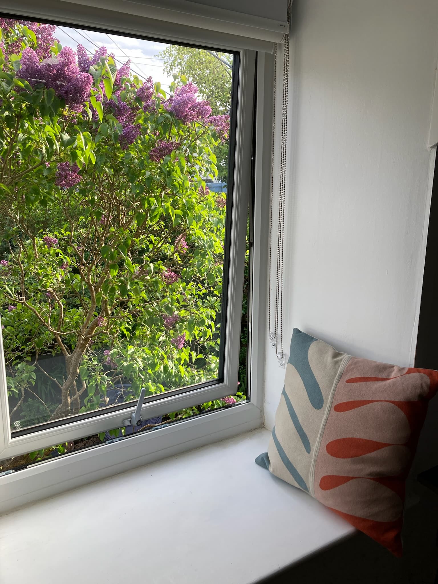 Window seat with cushions for reading and relaxing